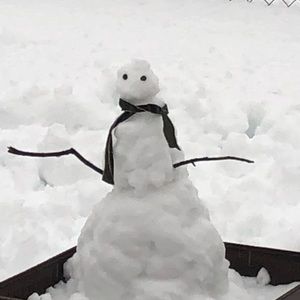 Meet your Posher, Barb